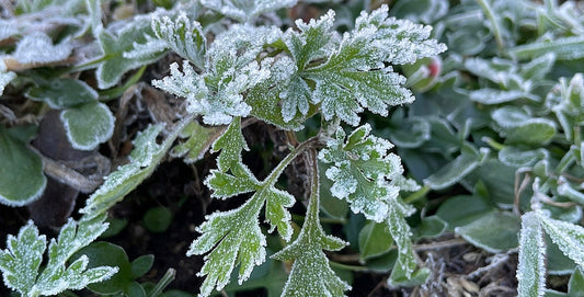 迫不及待初雪到來，合歡山賞雪怎麼穿？